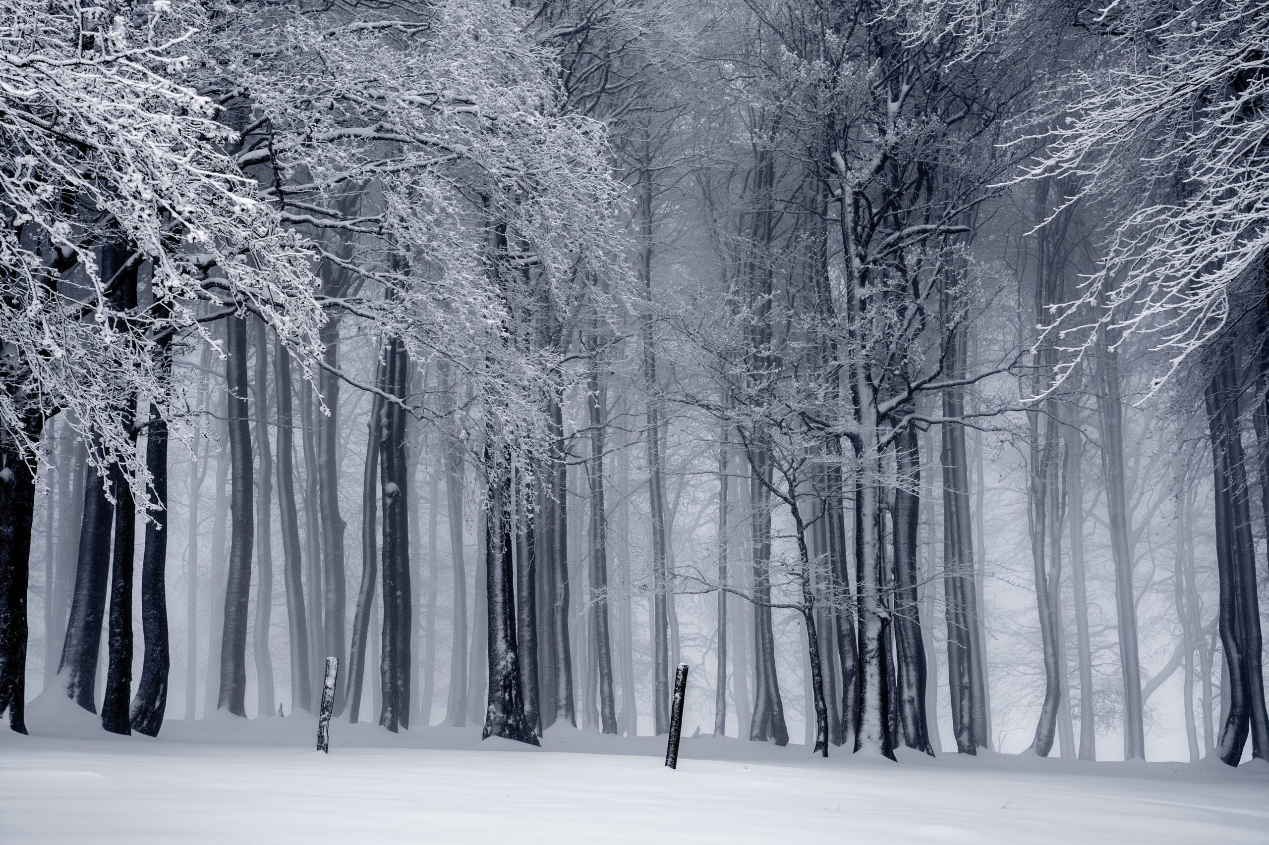 Omnia & Morris + D’Angelo Conversation Series: Winter Is Coming